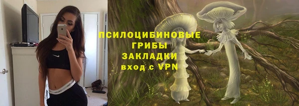 твердый Алексеевка