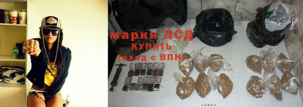 шишки Алексин