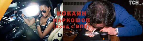 шишки Алексин