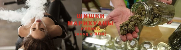 шишки Алексин