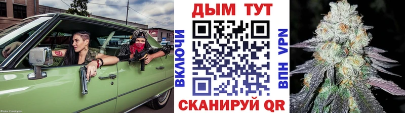 Конопля Amnesia  Купить где  Белгород 